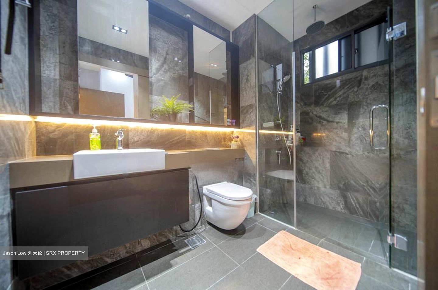 Affinity At Serangoon (D19), Terrace #450137661